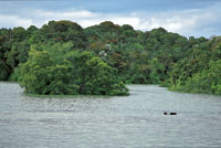 Estuarios de baha Mlaga en el ocano Pacfico.