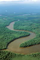 Delta del ro Sanquianga.