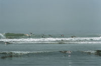 En poca de fuertes vientos, las playas deltaicas son erosionadas por el oleaje