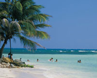 En San Andrs, la barrera arrecifal protege la isla del intenso oleaje generado por los vientos; en sus aguas se desarrolla una variada vida que se refleja en el mar de los siete colores.