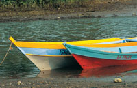 La abundancia de la pesca, principal recurso para los habitantes del golfo, se debe a las corrientes marinas que arrastran una inmensa cantidad de nutrientes.