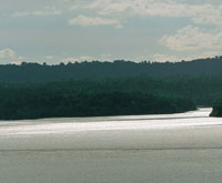 Mlaga es una de las pocas bahas que no recibe aportes fluviales. Para obtener el balance necesario entre aguas dulces y saladas que requieren los manglares, depende de las lluvias.