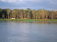 La regin se caracteriza por tener pluviosidades cercanas a los 4000 mm anuales, que aunque elevadas, son las menores del Pacfico colombiano y permiten la existencia de densos bosques.