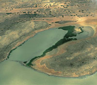 A lo largo de los casi 3.000 km de litoral, los grandes contrastes y la diversidad de ambientes de los golfos y las bahas de Colombia, son la mejor muestra de la maravillosa diversidad que tiene nuestro pas. Son lugares que por presentar condiciones pro