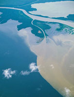 En el delta de los grandes ríos se mezclan las aguas marinas con las dulces y son los lugares que reciben mayores aportes de sedimentos continentales. Delta del río Atrato.