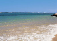 Las playas del Caribe colombiano son arenosas y de grano fino, con aportes de sedimentos continentales. En algunos sectores, especialmente en las islas, son de origen coralino.