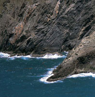 Litoral rocoso en la Sierra Nevada de Santa Marta, que a pesar de lo abrupto de su pendiente, est habitado por especies que sobreviven en condiciones extremas.