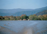 La serrana del Darin es el punto donde se unieron Suramrica y Centroamrica y que permiti el intercambio gentico entre dos zonas biolgicas altamente diferenciadas.