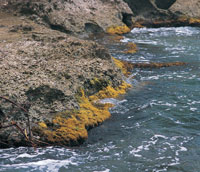 Desde la Colonia, la baha de Cartagena ha sido uno de los puertos ms importantes y densamente poblados del pas; en la actualidad, al lado de la arquitectura colonial, la ciudad alberga modernas construcciones.