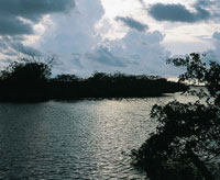 Playas con acumulacin de sedimentos continentales.
