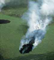 Cada ao son quemadas miles de hectreas de sabana. El abuso de esta prctica puede conducir al empobrecimiento del ecosistema.