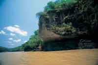 El ro Guayabero fue una de las rutas migratorias importantes en el poblamiento de la regin