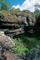 La permanente erosin del sustrato rocoso form un complejo mosaico de formas del terreno y de hbitats, que en conjunto producen gran heterogeneidad ambiental y gradientes de humedad.