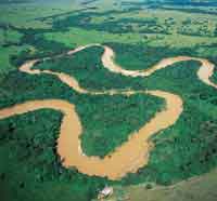 En la planicie aluvial de los ros, la selva riparia ha sido fuertemente intervenida.