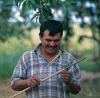 La diversidad tnica y cultural de la Orinoquia es el producto de su origen y de la variedad de climas y de ambientes  que tiene esta gran cuenca