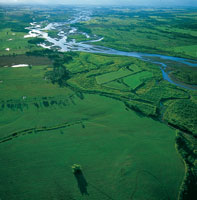 El desarrollo agrcola demanda la inversin de grandes cantidades de insumos para el control de plagas  y enfermedades. Sin embargo, esto requiere la aplicacin de estrictos controles ambientales y de monitoreo, a fin de disminuir los posibles impactos so