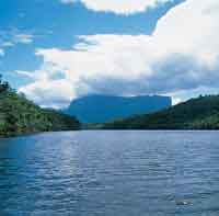 En la lejana se levanta uno de los tepuyes del escudo de la Guayana.