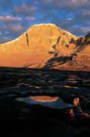 Los picos ms elevados de la Orinoquia colombiana forman la divisoria de aguas de la cordillera Oriental; el lmite de las nieves perpetuas se presenta sobre los 4.100 m de altitud.