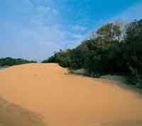 Durante algunos perodos secos del Pleistoceno, los fuertes vientos dieron origen a dunas o mdanos.