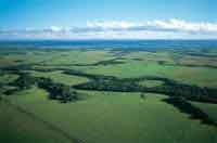 Panormica de los Llanos Orientales desde el piedemonte.