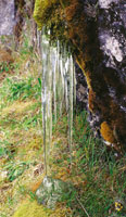 El congelamiento de las pequeas corrientes de agua da origen a agujas de hielo o carmbanos en las primeras horas de la maana.