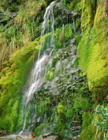Cada de agua en el pramo de Chingaza.