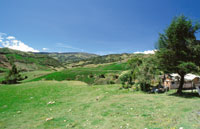 Frontera agrcola en el pramo de Sumapaz.