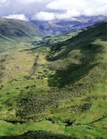 Profundo valle glaciar, con marcada actividad humana en el lmite entre el bosque y el pramo.