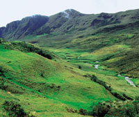 En el pramo de Sumapaz se hace evidente la intensa utilizacin de la tierra para agricultura y pastoreo, lo que transforma el pajonal frailejonal en un prado rasante.