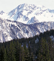 Aspecto de los Alpes en invierno. La similitud de este paisaje con los lugares que tienen condiciones climticas extremas en  las altas montaas tropicales, dio origen a la denominacin de 