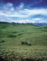 Pramo bien consolidado en la regin de Sumapaz, uno de los ms extensos sobre la cordillera Oriental, donde la estratificacin del relieve evidencia su origen sedimentario y marino.