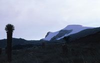 Paisaje del superpramo en un da nublado durante la temporada de invierno. Nevado de Santa Isabel, cordillera Central.