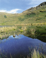  Dos aspectos de la laguna de Iguaque, en un mismo da 