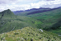 Pramo de Sumapaz.
