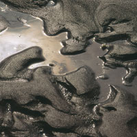 Limos humedecidos por las intensas lluvias que caen en esta zona del Magdalena.