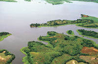 En las zonas planas y onduladas de la llanura del valle del Magdalena, cerca de Barrancabermeja, la vegetacin natural se entremezcla con la ganadera intensiva y los cultivos a gran escala.