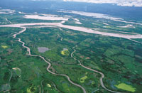 Aguas abajo el ro se divide en varios brazos que forman islas fluviales.
