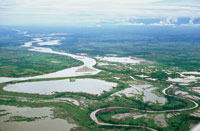 El ro Cauca desemboca en las estribaciones del remate de la cordillera Central, en el brazo de Loba, en la vasta llanura de inundacin del valle bajo del Magdalena.