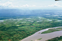 El ro Cauca desemboca en las estribaciones del remate de la cordillera Central, en el brazo de Loba, en la vasta llanura de inundacin del valle bajo del Magdalena.