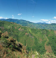 Las actividades ganaderas y el cultivo del caf, han sido  fuentes de riqueza en el Alto Magdalena.