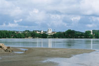 En los alrededores de La Dorada se establecieron grandes haciendas productoras de arroz, cacao y algodn.