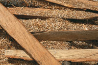 La fauna y la flora asociadas al cauce del ro fueron base del sustento de la poblacin riberea.