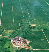 El aprovechamiento de la tierra para diversos cultivos ha modificado el aspecto de la cuenca del Magdalena, cuyo aspecto de  mosaico de formas y colores, se puede apreciar desde el aire.
