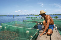 La mayor produccin pesquera en aguas continentales se da en el ro Magdalena.