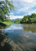 En la actualidad las riberas del Magdalena conservan sitios que mantienen parte del encanto y la pureza que cautiv a los primeros pobladores y expedicionarios.