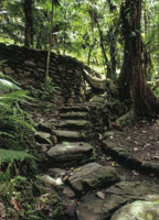Camino ltico construido por los taironas en la Sierra Nevada de Santa Marta.