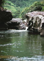 Conservar los ecosistemas del Maciso Colombiano y de los nacimientos de la alta montaagarantiza el caudal de agua de todo el Rio Grande de La Magdalena.