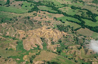 La quema y la destruccin de la cobertura vegetal, adems de generar prdidas irreparables en la calidad del suelo, causan erosin y deslizamientos que aumentan la carga de sedimentos del ro.