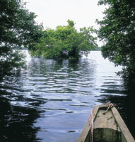 El sueo de El Dorado anim a los conquistadores para buscar una ruta hacia el misterioso sur, a travs de una naturaleza inhspita y desconocida.