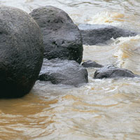 Diferentes tipos de sedimentos arrastrados por la corriente del Magdalena.
